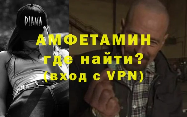 прущие грибы Новозыбков