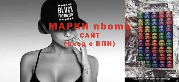 прущие грибы Новозыбков
