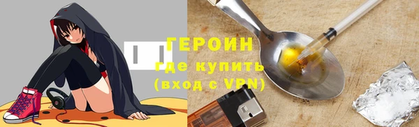 прущие грибы Новозыбков
