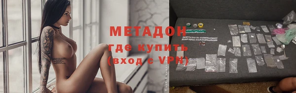 прущие грибы Новозыбков