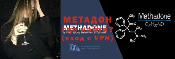 прущие грибы Новозыбков
