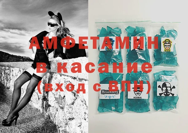 прущие грибы Новозыбков