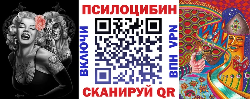 Галлюциногенные грибы Psilocybine cubensis  Нязепетровск 